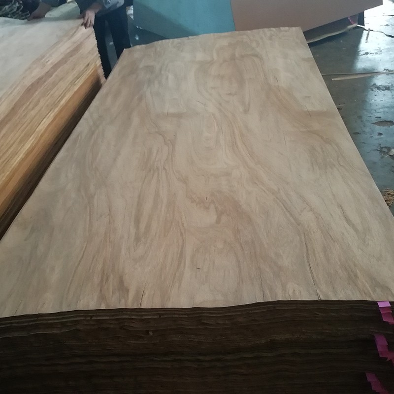 Plywood surface veneer