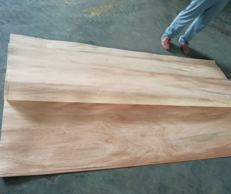 0.6mm wood veneer(图3)