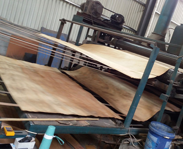 Plywood surface veneer(图3)